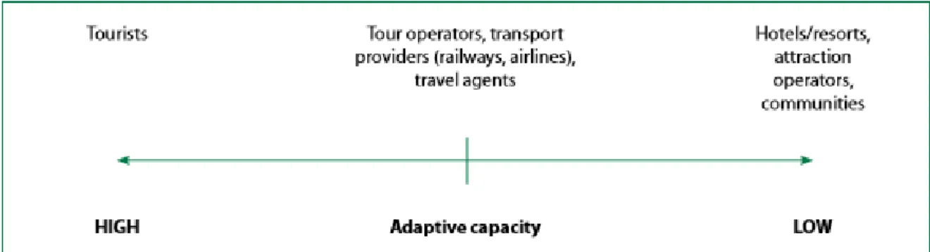 Figure 3: Relative adaptive capacity of major tourism sub-sectors 