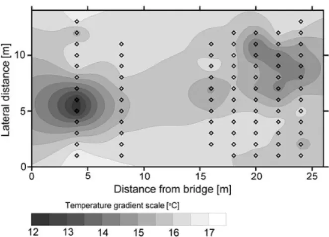 Fig. 4. Streambed temperature map of the studied area at the depth of 30 cm. 