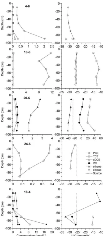 Fig. 5. Depth-variant concentrations and isotope ratios at selected locations. 