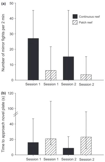 Fig. 3: Boldness and aggression do not differ between continuous and patch reef cleaner wrasse