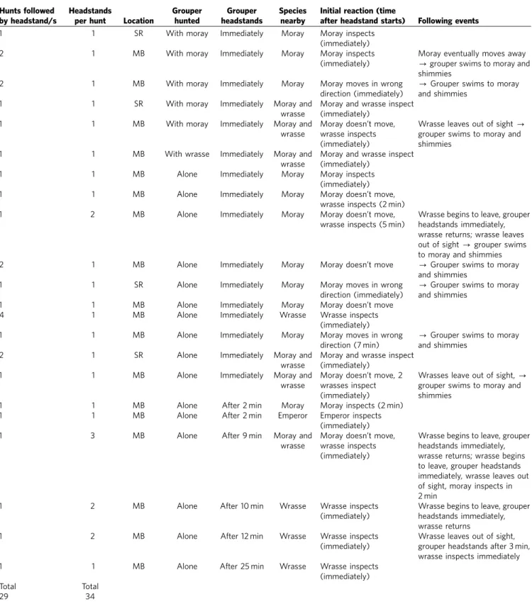 Table 1 | A description of all 34 observed headstand signalling events.