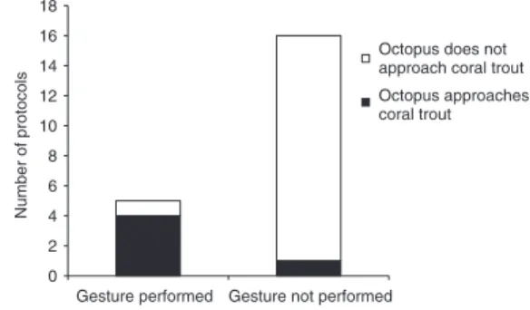 Figure 3 | Attraction of octopuses to headstanding versus non-signalling coral trout. The number of focal follows in which an octopus either does not approach or does approach a hunting coral trout, separated by whether the coral trout performed a headstan