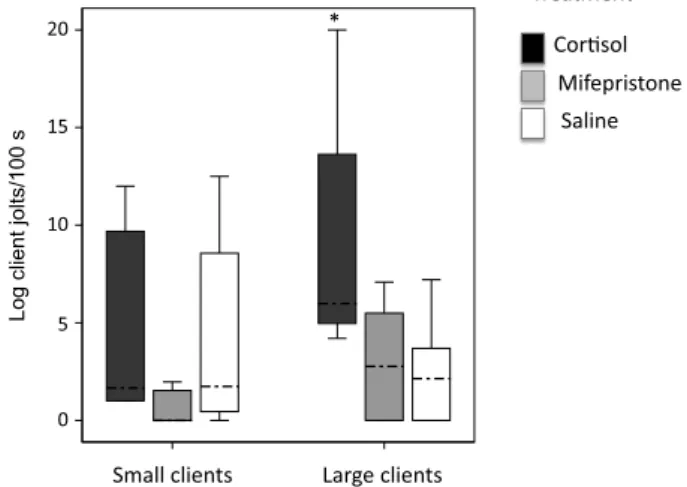 Fig. 2). For small clients no signi ﬁ cant effects of treatment were found (cortisol vs saline: U = 28, n 1 = 8, n 2 = 8, p = 0.67; mifepristone vs saline: U = 13, n 1 = 8, n 2 = 8, p = 0.04; Fig