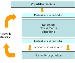 Figure 16 Schéma de principe de l‘ AG ,  http://sis.univ-tln.fr, 27.02.2016 