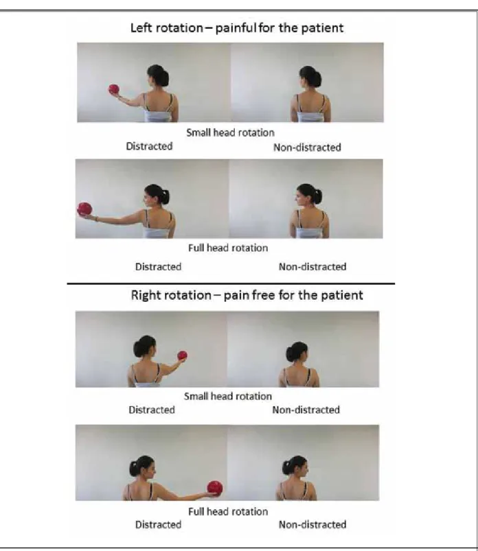 Fig. 1. Conditions. Figure 1 displays the movements that were shown to the patient in the videos