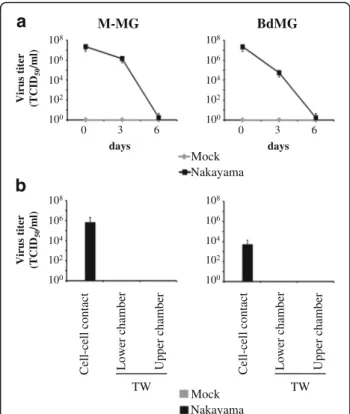 Fig. 6 Infectiousness of JEV-infected human microglia. Human microglia were treated with Mock antigen and Nakayama isolate (used at an MOI of 10 TCID 50 /cell) at 37 °C for various time periods.