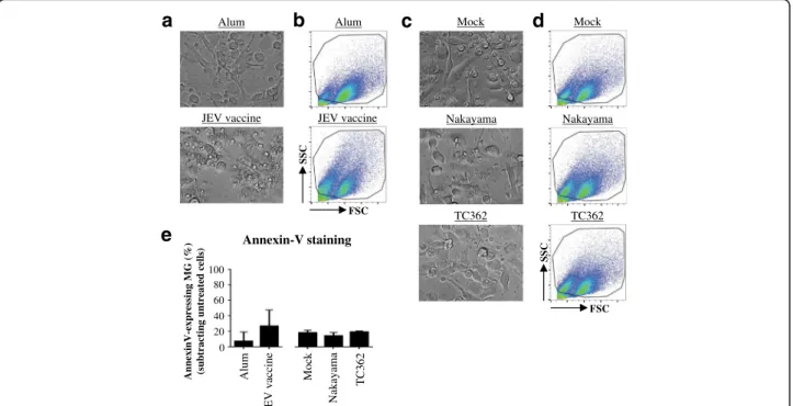 Fig. 1 Morphology and cell death of JEV-treated human microglia. Human M-MG were treated with (a, b and e) Alum, JEV vaccine (used at a concentration of 1.2 pg/cell), (c, d and e) Mock antigen, Nakayama and TC362 isolates (used at a multiplicity of infecti