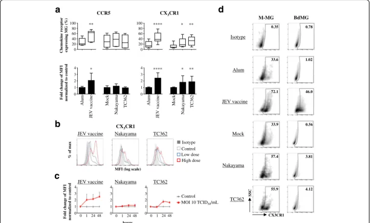 Fig. 3 Impact of JEV on CX 3 CR1 expression in human microglia. Human microglia were treated with Alum, JEV vaccine (used at a concentration of 1.2 pg/cell otherwise indicated), Mock antigen, Nakayama and TC362 isolates (used at an MOI of 10 TCID 50 /cell 