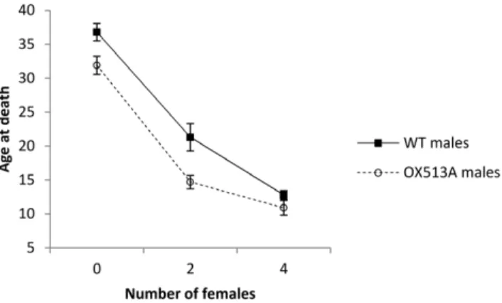 Figure 3. Effect of the three-way interaction on the longevity of males. Adding virgin (closed symbols) or refractory females (open symbols) has a similar effect on OX514A males (dashed lines, circles), but only adding virgin females substantially reduced 