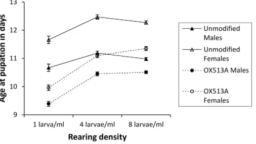 Figure 2. Wing length. Comparisons of average wing length of WT and OX513A mosquitoes reared at different densities in 100 ml pots; error bars showing 95% CI.