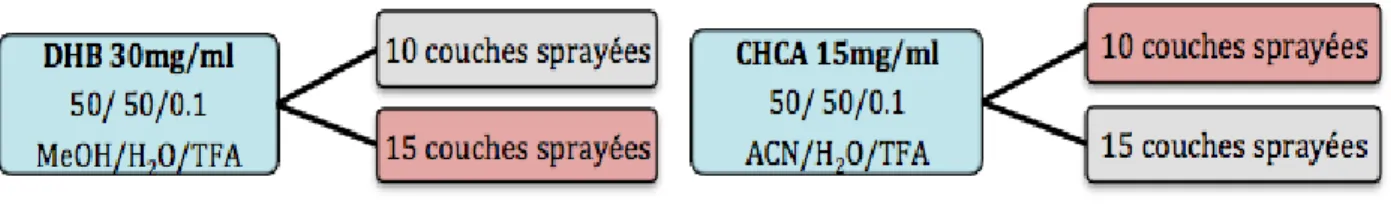 Figure H : Schéma des conditions testées pour la déposition de la matrice. Les conditions choisies sont colorées en rouge