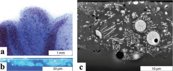 Fig. 6. Cross-sections of the yellow paint. SEM-BSE picture showing (a) the sharp contact to the underlying glaze and the richness of opacifying crystals (white) in the yellow paint; (b) the pseudohexagonal to irregular shapes and the variable dimensions o