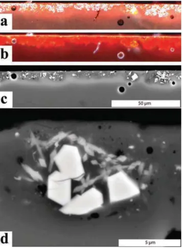 Fig. 7. Cross-sections of the green paint. (a) Aspect under re ﬂ ected light microscopy showing yellow glassy grains in a bluish glassy matrix (dark ﬁ eld)