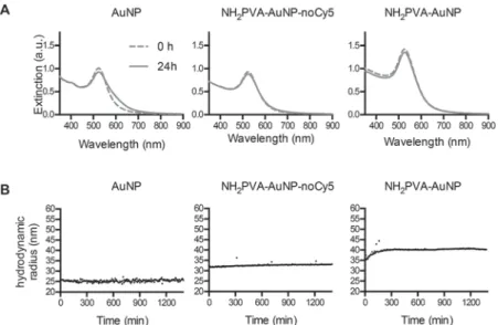 Fig. 2 NP stability in cell culture medium. NP were incubated for 24 h in complete cell culture medium (cDMEM) at 37 °C