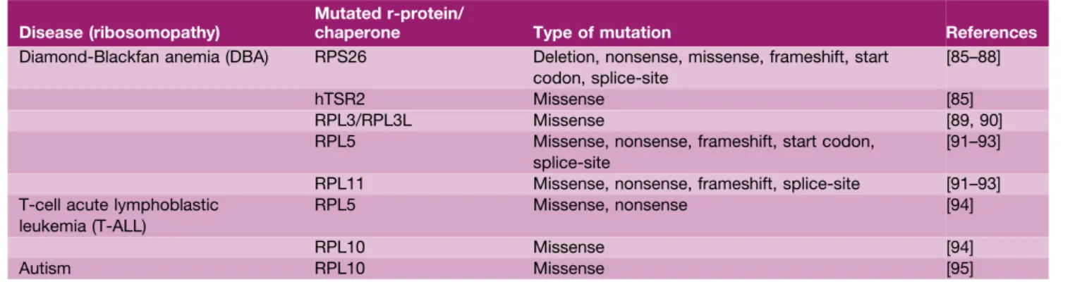Table 2. Human diseases linked to r-proteins or their dedicated chaperones