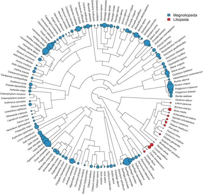 Figure S2 Phylogeny of angiosperms palatability.  