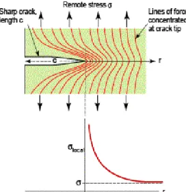 Figure 5: Lignes de forces dans un corps fissuré et effet de concentration de contrainte 8