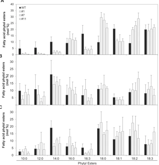 Fig. 6.  Molecular species composition of fatty acid phytyl esters (FAPEs) in SlVTE5-RNAi transgenic lines