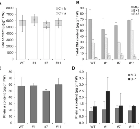 Fig. 7.  Chlorophyll (Chl) and pheophytin a (Phein a) content in SlVTE5-RNAi transgenic lines