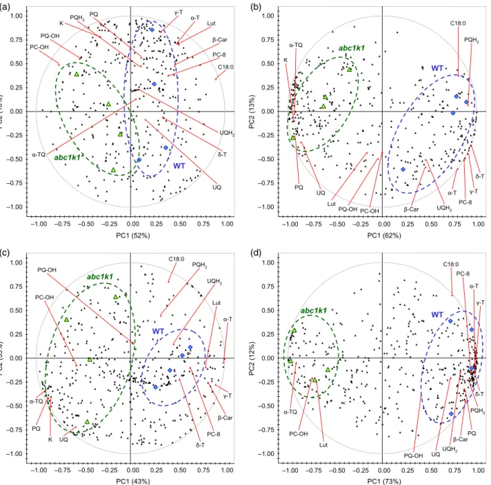 Figure 4. Bi-plots derived from an untargeted principal component analysis (PCA), showing differences between lipid profiles of different plant lines and after HL treatment.