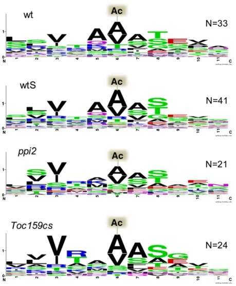 Figure 6. Sequence Context around N-Acetylation Sites of Plastid Proteins Identified in Leaves.