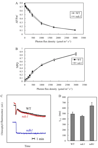 Fig. S4. Photosynthetic properties of WT and ndc1 mutant leaves of Arabidopsis. (A) Quantum yield of PSII photochemistry measured at different photon ﬂ ux densities (PFDs) by using the chlorophyll ﬂ uorescence parameter Δ F/F m ′ 