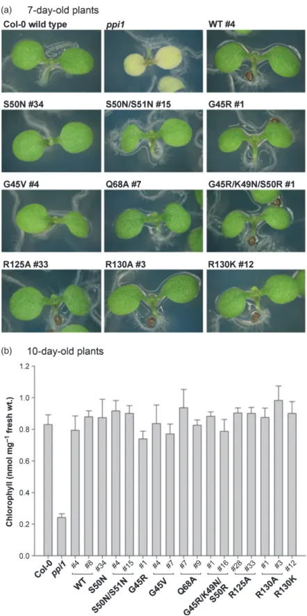 Figure 6. Basic characterization of transgenic ppi1 plants expressing atToc33 mutant constructs.