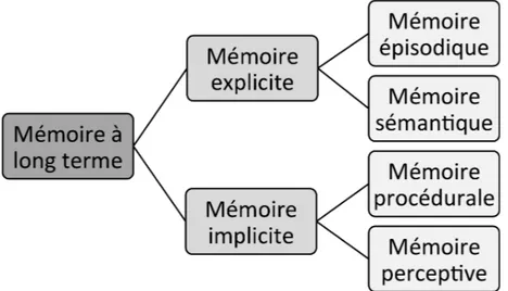 Figure 3 : cette figure résume les différents types de mémoires  