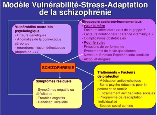 Figure 3: Modèle vulnérabilité – stress