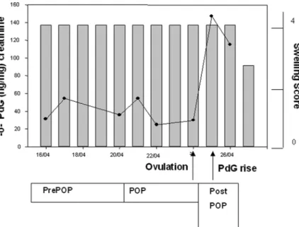 Figure 6. Chimpanzee ovulation profile. Profiles of urinary pregnandiol in ng/mg creatinine and perineal swelling for the adult female WL during April 2007