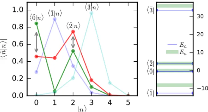 FIG. 7. SFA3 reference system eigenstate | n ˜  overlap with the occupation number states |n (left) in the superfluid phase with parameters identical to Fig