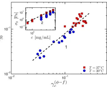 FIG. 7. The onset strain for stiffening scales as γ 0 ∼ γ c (φ − f ) . The critical exponents are φ = 2.1 and f = 0.8