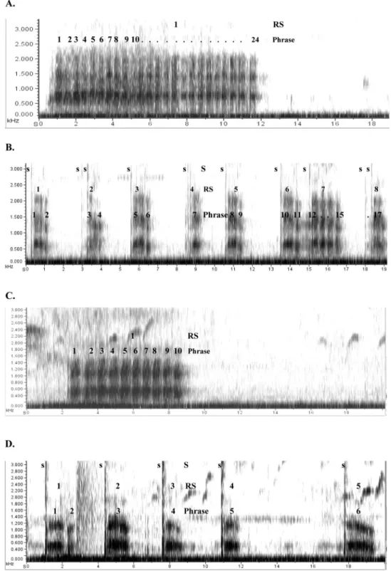 Figure 2. Spectrographic illustrations of the main structural differences characterizing the vocal responses to eagles and leopards: Part A depicts a continuous recording of an adult King colobus male responding to an eagle, which consists of a roaring seq