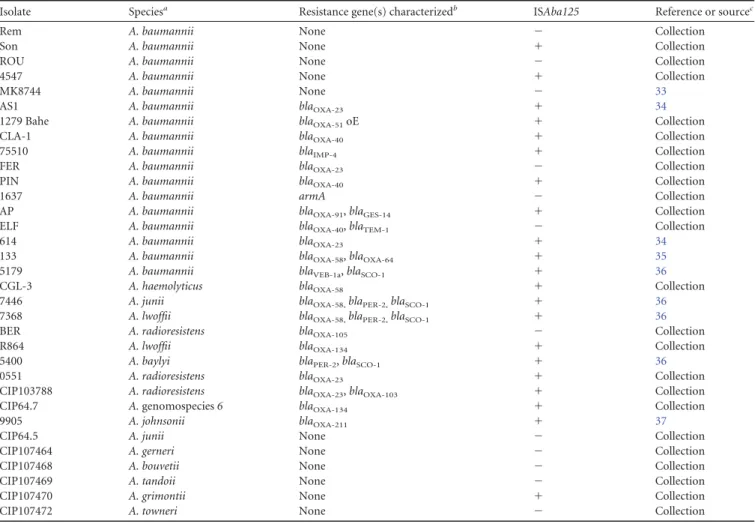 TABLE 3 Position of 74 ISAba125 elements with respect to genomic ORFs a