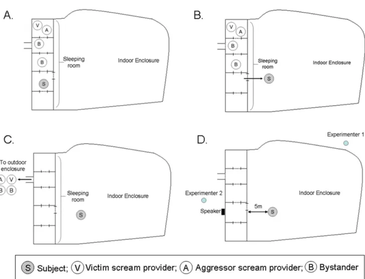 Figure 2. Schematic illustration of the experimental procedure for an incongruent trial