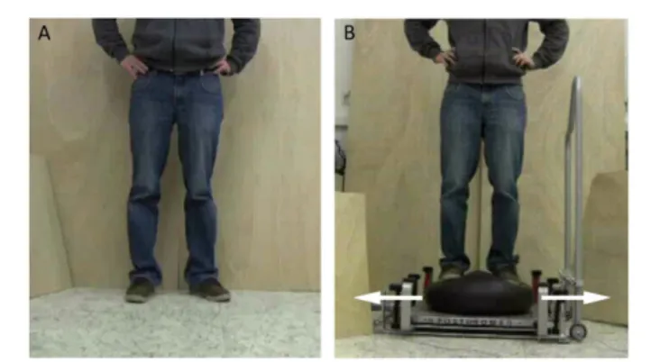 FIGURE 1 | Postural tasks presented during the experiment. (A) For the static balance task, a person was shown standing on stable ground