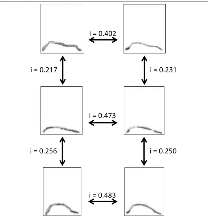 Figure 2 Illustration of how similarity indices (i) were calculated between contact calls produced by different females.