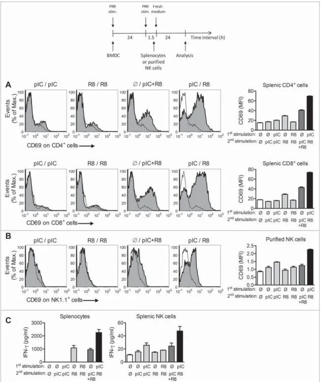 Figure 3. Sequential PRR stimulation of BMDC increases activation of effector T cells and NK cells