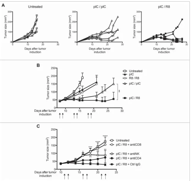 Figure 6. Sequential injections of TLR3/MDA5 and TLR7 ligands are more ef ﬁ cient than single agents for the treatment of established tumors