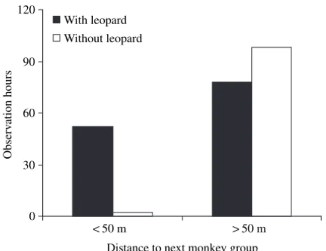 Fig 2 Number of observation hours the observer was sitting close (&lt;50 m) or far (&gt;50 m) from the nearest monkey group after (a) having followed Adele (black bars) or (b) having walked to one of ten randomly selected points throughout the study area.