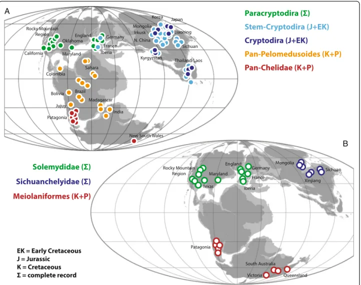 Fig. 10 The vicariant origin of the primary clades of turtles. a the early or complete fossil record of the clades Pan-Chelidae, Pan-Pelomedusoides, Paracryptodira, Pan-Cryptodira and Cryptodira imposed upon a paleogeographic reconstruction for the Late Ju