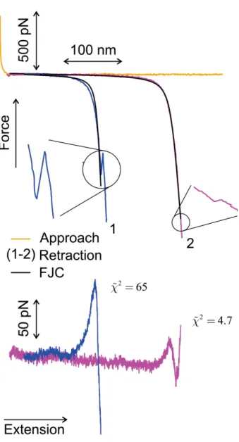 Figure S6: Force versus extension profiles of P1 with transitions. FJC curve is reproduced using the mean values of the Kuhn length  and elasticity constant,  0.53 nm0.53 nm  and  K 20 nN , and is used as comparison agent only for illustration purposes
