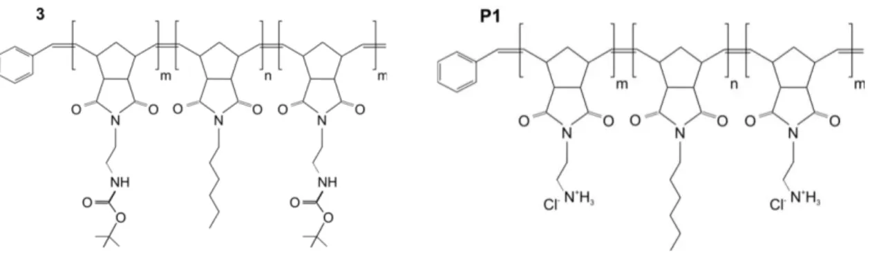 Figure S1: Polymers 3 and P1 synthesized in this work with m # 11, n # 544. 