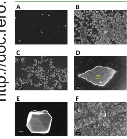 Figure 7. SEM images of samples grown to see the eﬀect of tailoring the adamantane molecule as well as the eﬀect various solvents have on nucleation