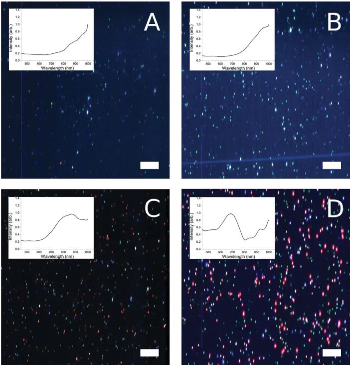 Fig. S11. Hyperspectral imaging combined with dark-field light microscopy of spin-coated  GNRs