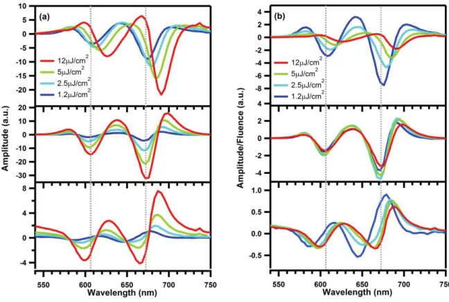 FIGURE S4. a) Amplitude spectra for excitation at 410 nm and different pump fluences  between 1.2-12 μJ/cm 2  for the fast time constant of 0.5 ps (top), an intermediate one of 5.5 ps  (middle) and the long (bottom) component