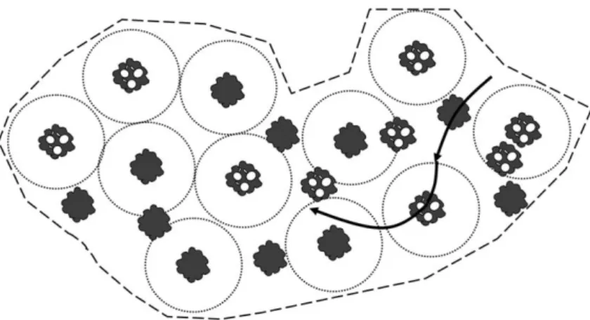 Figure 1. Measuring Revisiting Behavior The diagram illustrates an example of part of the study group’s daily route (arrows) among target trees, each surrounded by an  imagi-nary 100 m radius circle (dotted line)