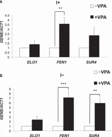 FIGURE 2. VPA sensitivity of fatty acid elongase and sphinganine C4-hy- C4-hy-droxylase mutants