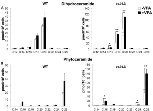 FIGURE 4. VPA down-regulates expression of nutrient transporters via ceramide. mRNA levels of nutrient transporters were quantified by qRT-PCR in WT (A) and rsb1 ⌬ (B) cells grown in the presence or absence of VPA and fumonisin, as indicated