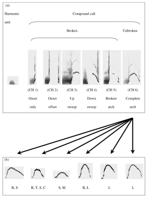 Figure 1. a: Spectrographic representations and terminology of the main subtypes and variants of Campbell’s monkeys’ combined-harmonic calls